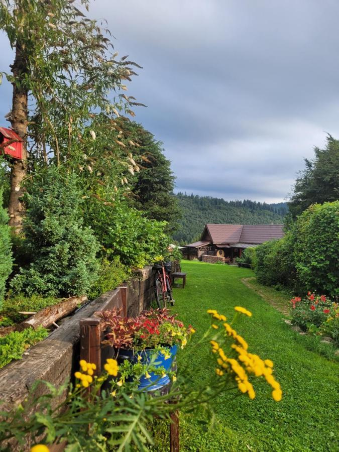 Osada Bura Polana Villa Ujsoły Dış mekan fotoğraf